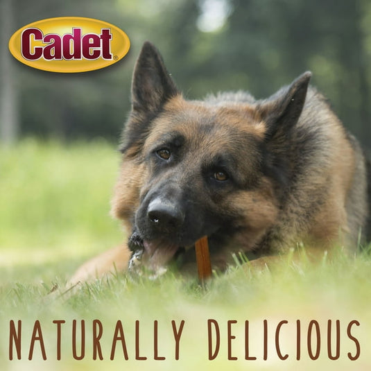 Cadet Small Bully Sticks Small 5.2 Ounce