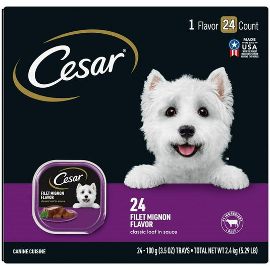CESAR Filets in Gravy Adult Wet Dog Food