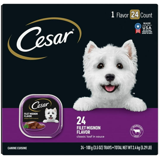 CESAR Filets in Gravy Adult Wet Dog Food